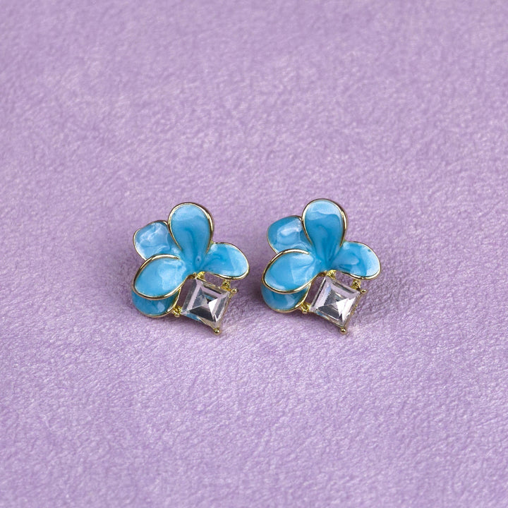 12 Earrings in Folding Box